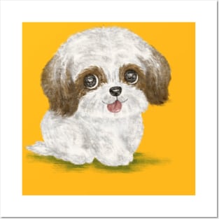 Shih Tzu with tongue hanging out Posters and Art